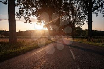 country road at sunset, an alley along a dirt road in the sun. the rays of light, the journey