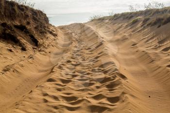 Sandy road and track over the sand dunes in Kauai with tire tracks