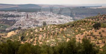 Montoro set on hillside among olive tree plantations near Cordoba, Andalucia, Spain