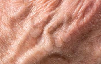 Macro image of the skin on the back of an old male hand showing the wrinkles and veins that come with old age