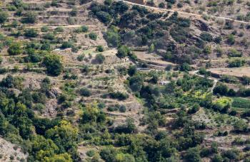 Terraced fields of olvie trees below Bayarcal in Sierra Nevada mountains in Andalucia, Spain