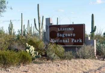 Thousands of saguaro cactus plants around exit sign in National Park West near Tucson Arizona