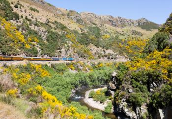 Train and coaches of Taieri Gorge tourist railway runs alongside river in a ravine on its journey up the valley