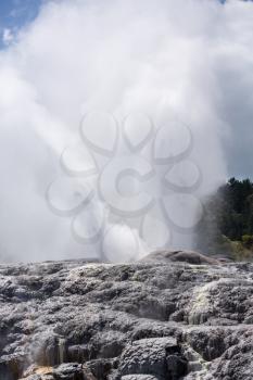 Whakarewarewa is a geothermal area within Rotorua city in the Taupo Volcanic Zone of New Zealand