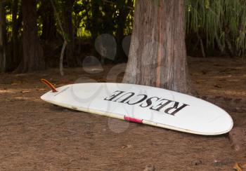 Large white rescue surfboard leaning against tree on coastline in Kauai