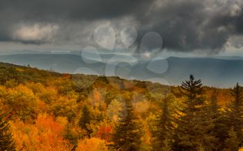 Red autumn leaves across Dolly Sods Wilderness area in West Virginia with panorama to distant mountains