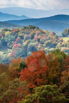 Red autumn fall leaves in West Virginia with shadowed hillside in distance