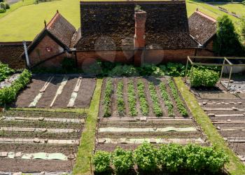 Garden allotments growing vegetables by castle walls in Shrewsbury, England