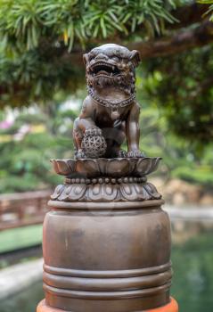Lion statue in the Nan Lian Garden by Chi Lin Nunnery in Hong Kong