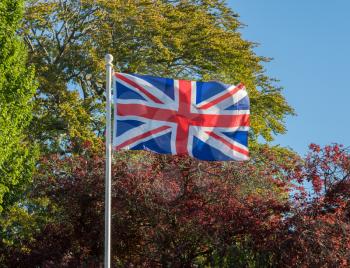 UK flag Union Jack flying in a strong wind against a background of fall or autumn trees
