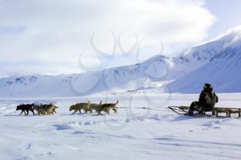 Dog sledding, transport in Chukotka, the boy rides in a cart