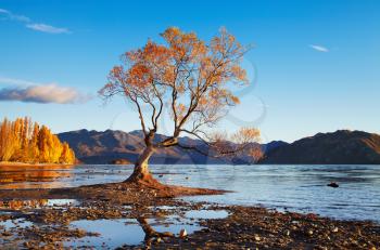 Autumn landscape, lake Wanaka, New Zealand