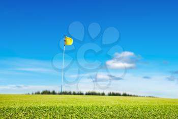 Golf field, focus on the grass, shallow depth of field
