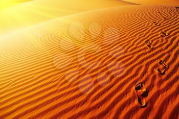 Footprints on sand dune, Sahara Desert, Algeria