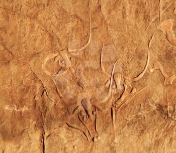 Famous ancient rock carving of a crying cow near Djanet, Algeria
