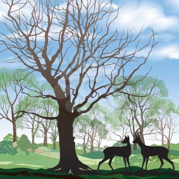 Spring landscape with two deers. Abstract vector illustration of spring forest. Spring nature background. 