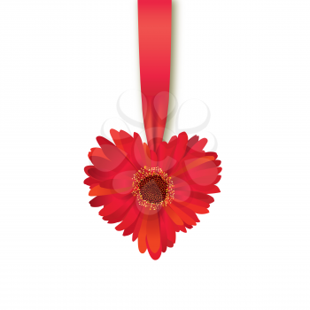 Valentines Day Heart Made of Flower with Ribbon Isolated on White Background. 