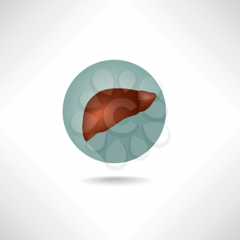 Liver icon. Human anatomy web buttons set.