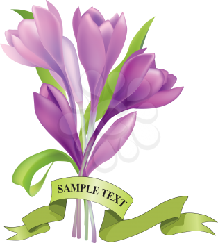 Flower crocus bouquet Floral frame. Spring greeting card background