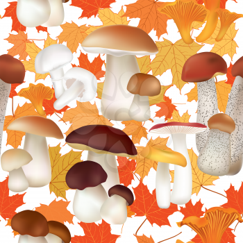 Mushroom seamless pattern. Boletus Food. Nature background