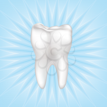 Tooth isolated. Teeth white sign. Dental medical illustration.