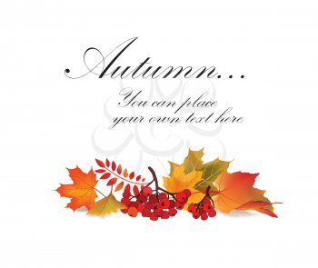 Fall leaf nature banner. Autumn leaves background. Season floral horizontal wallpaper
