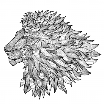 Lion isolated. Animal zentangle hand drawn illustration