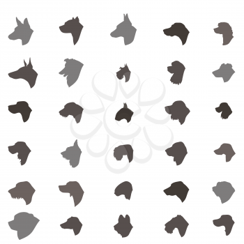 Dog head silhouette icon set. Dog breed set. Different dos breed vector collection Domestic animal  isolated illustration 