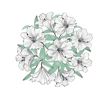 Flower lily bouquet isolated. Greetinng card background. Floral Spring garden pattern.