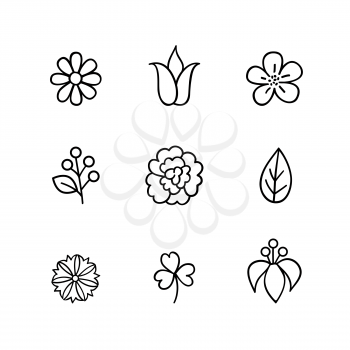 Floral icon set. Flowers, berry and leaves line art icons
