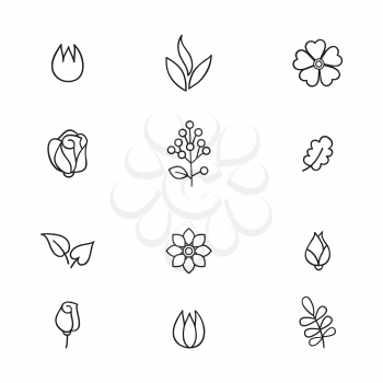 Floral icon set. Flowers and leaves line art icons