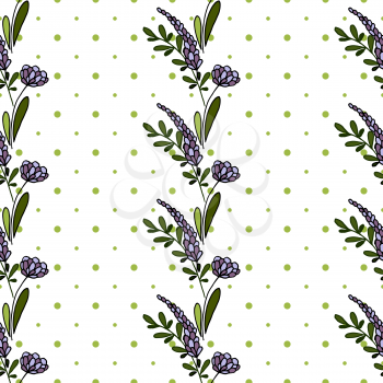 Floral seamless pattern. Lilac inflorescence. Lavender. Stripes of flowers on a white background. Background in polka dots