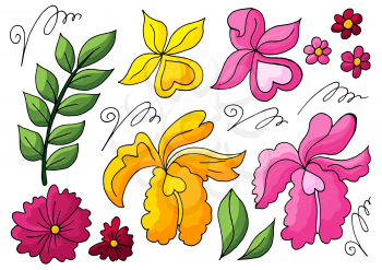 Collection of vector floral elements. Flowers and leaves in hand draw style. Elements for your design. Orchids, green leaves and curls