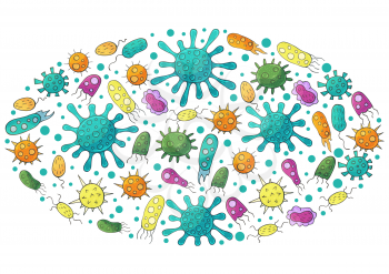Oval vector set of design elements. Set of cartoon microbes in hand draw style. Coronavirus, viruses, bacteria, microorganisms