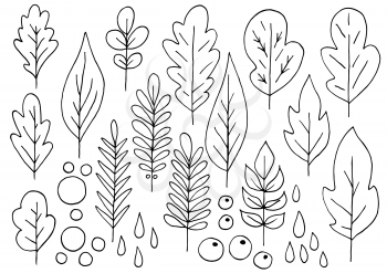 Collection of decorative leaves. Monochrome elements for your design. Leaves of trees, flowers. Set of vector illustrations in hand draw style