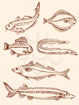 set of vector  hand drawn vintage seafood 