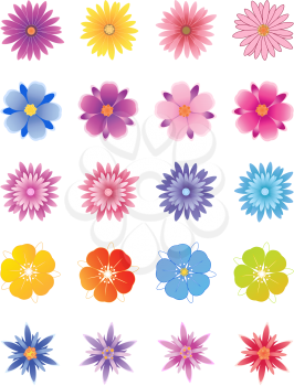 set of vector flowers for design