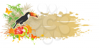 vector tropical summer background with toucan
