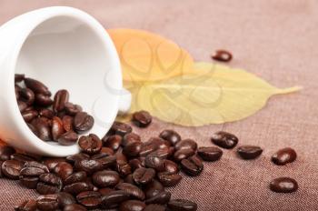 White coffee cup, autumn leaves and coffee beans 