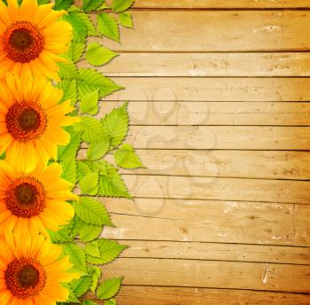 Background with wooden fence, green leaves and sunflowers