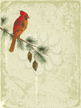 vector retro Christmas background with Cardinal bird