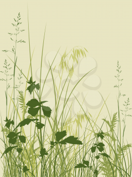 Vector  floral background with green grass