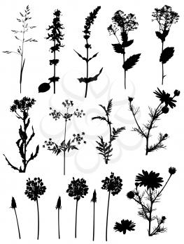 Set of vector black silhouettes flowers and plants on a white background