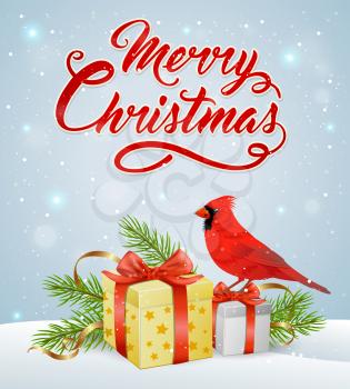 Vector Christmas background with red cardinal bird, gifts and snow. Merry Christmas lettering
