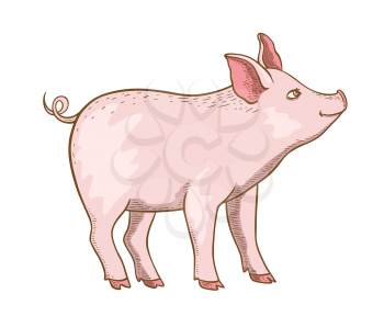 Cute pink little pig on a white background. Hand drawn vector illustration