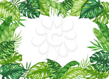 Tropical summer frame with green palm leaves on a white background. Hand drawn vector illustration