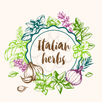 Vintage vector hand drawn background with Italian spices and herbs.