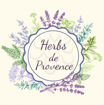 Vintage vector hand drawn round background with Provencal spices and herbs. Decorative floral frame