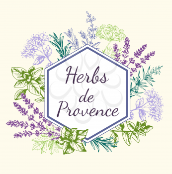 Vintage vector hand drawn background with Provencal spices and herbs. Decorative floral frame