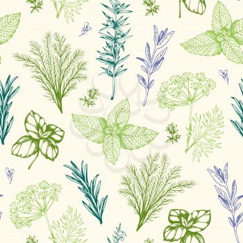 Vintage hand drawn seamless pattern with Provencal spices and herbs. Decorative floral vector background.